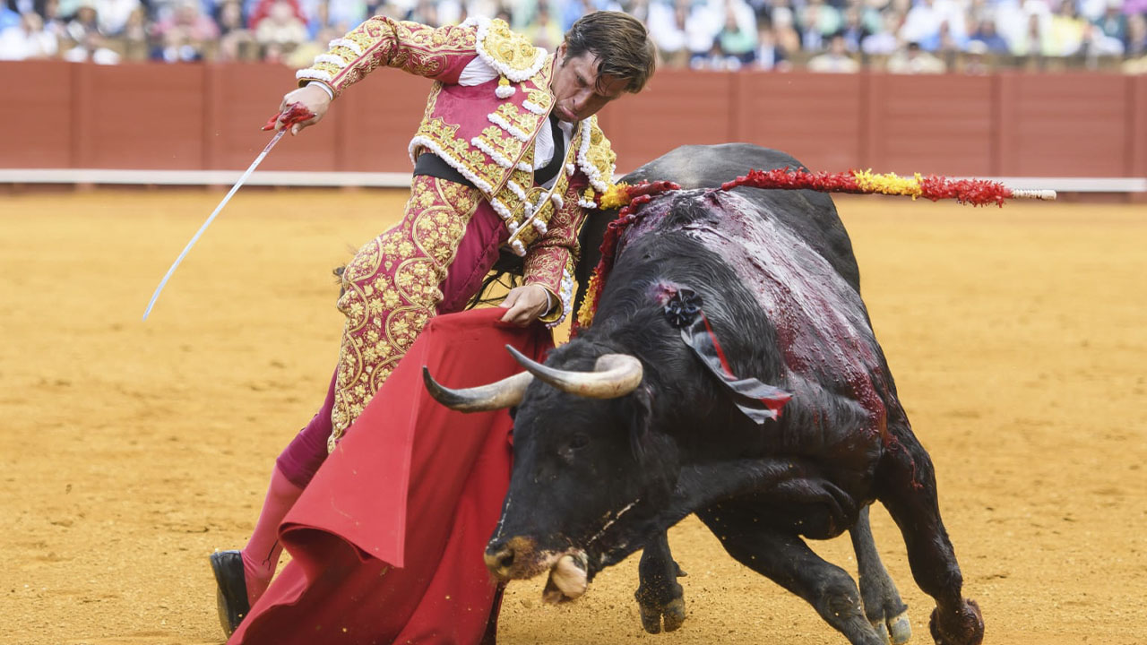 La fiesta brava, es un merecido homenaje a la bravura de los astados: Julián López “El Juli”