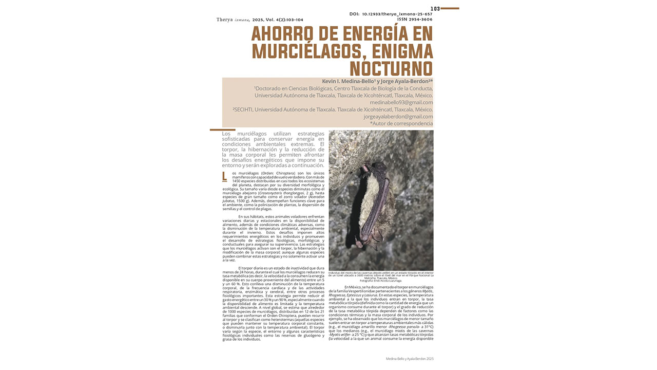 “Publican investigadores de la UATx artículo de divulgación sobre los mecanismos de supervivencia del murciélago