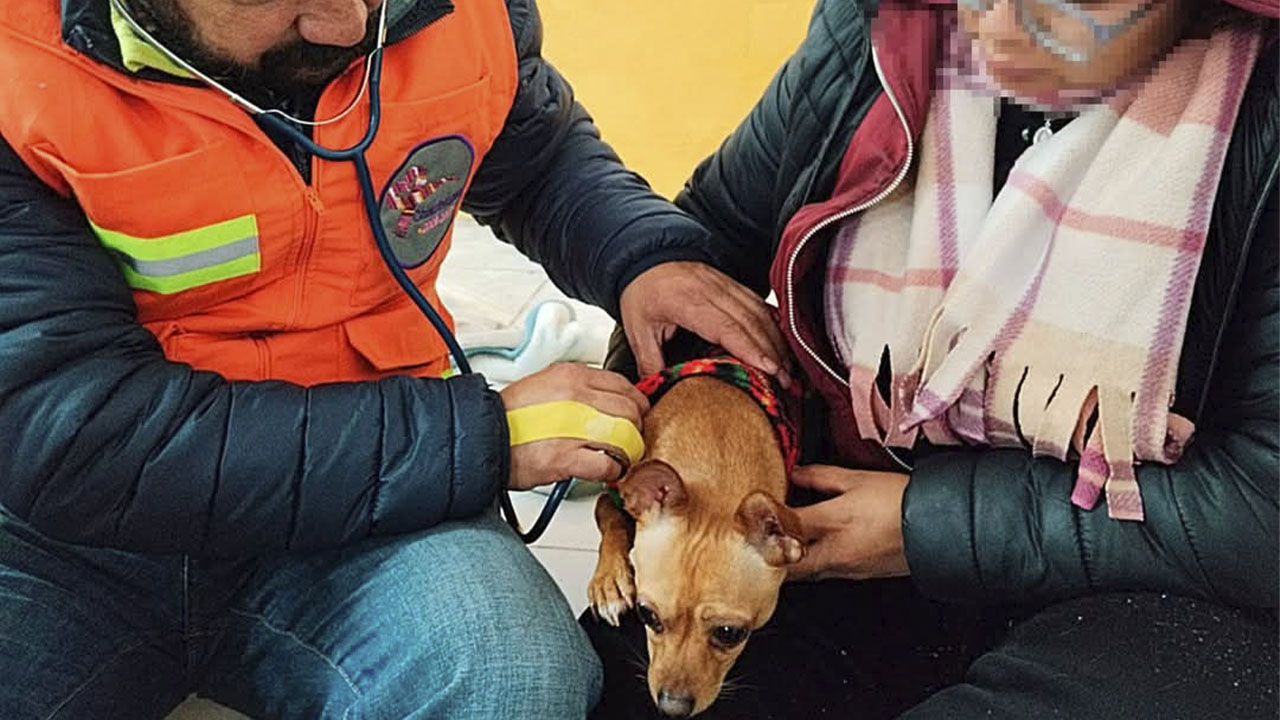 Chiautempan firma convenio para garantizar el trato digno de los animales