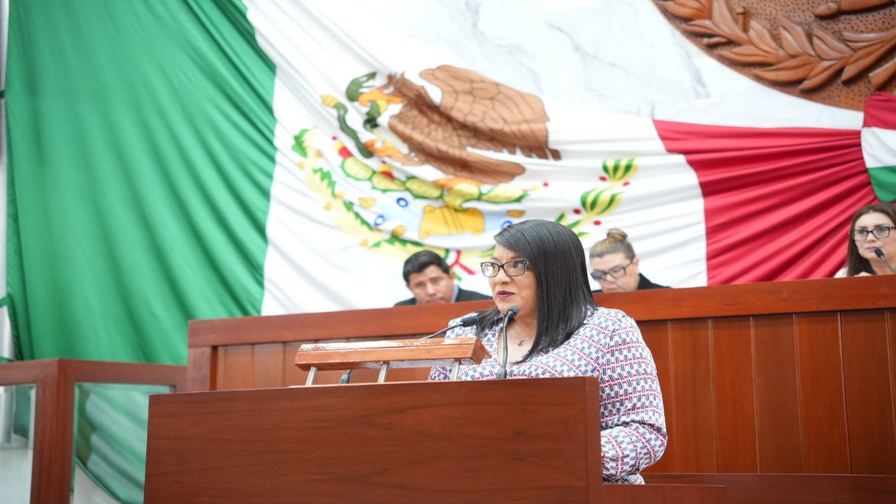 Garantizar el derecho al agua, propone la diputada Laura Flores
