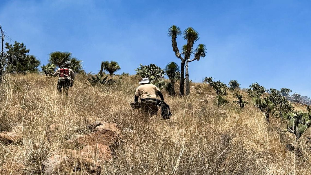 Protección civil y policía de Huamantla sofocan incendio forestal en los pilares
