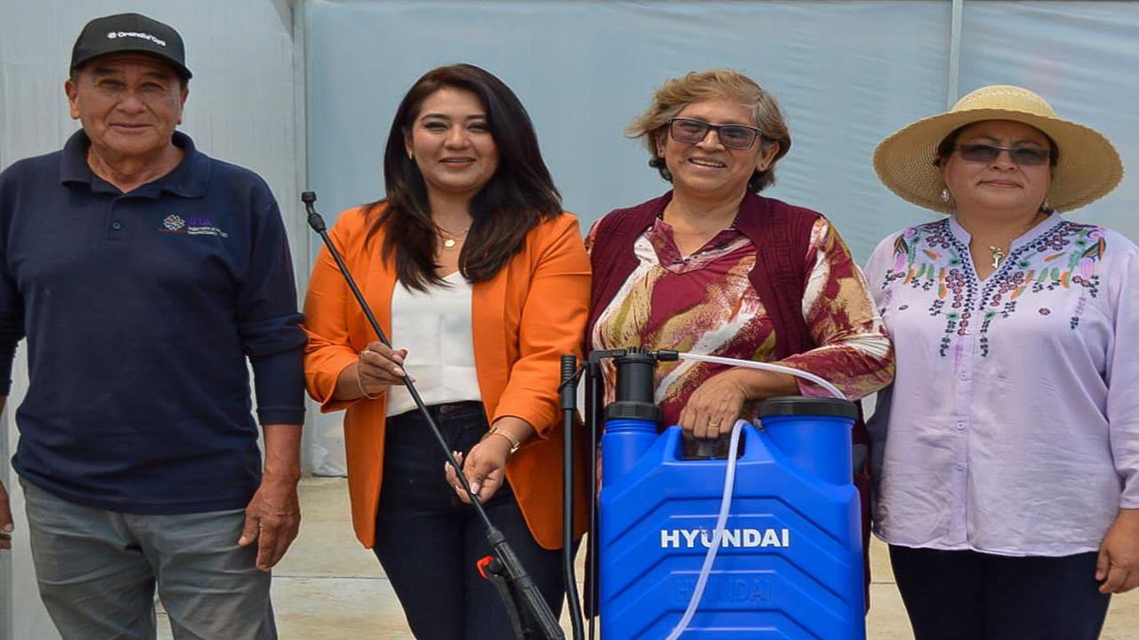 Zacatelco es beneficiado con gestión para realizar invernaderos de fresas.