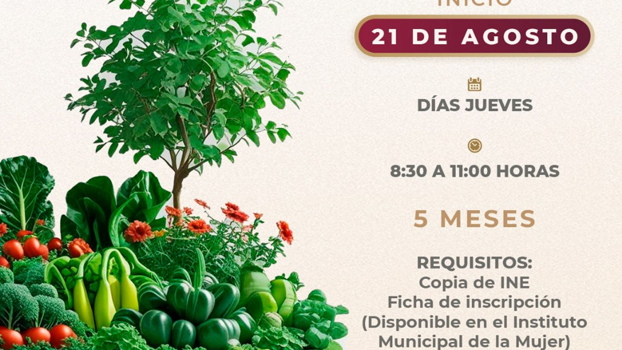 Invita ayuntamiento de Tlaxcala al curso gratuito de huertos familiares para mujeres de la capital