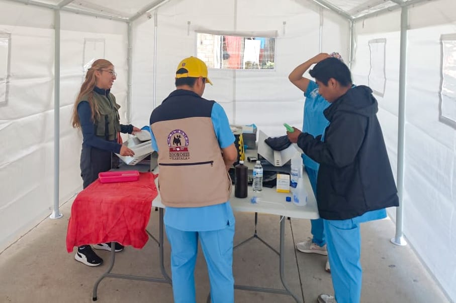 Ayuntamiento de Tlaxcala y la SESA promueven tenencia responsable de mascotas con campaña de esterilización