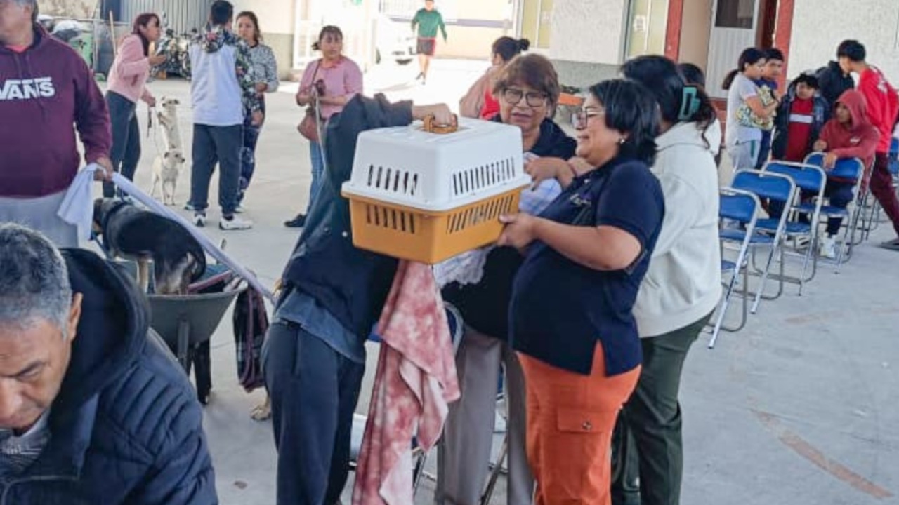Ayuntamiento de Tlaxcala y SESA amplían fechas para esterilizar de forma gratuita a mascotas
