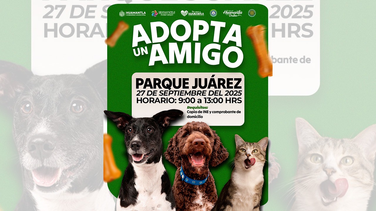 Huamantla invita a la jornada de adopción de perros y gatos en el Parque Juárez