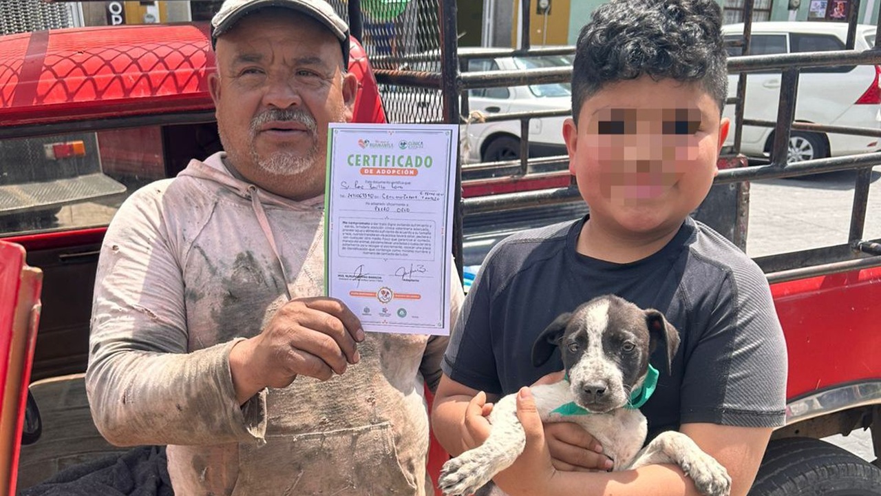 Con la Campaña "Adopta un Amigo" 17 Mascotas Tienen un Nuevo Hogar en Huamantla