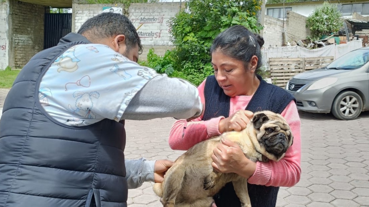Ayuntamiento de Tlaxcala y SESA concluyen con éxito jornada sabatina de vacunación antirrábica en la capital