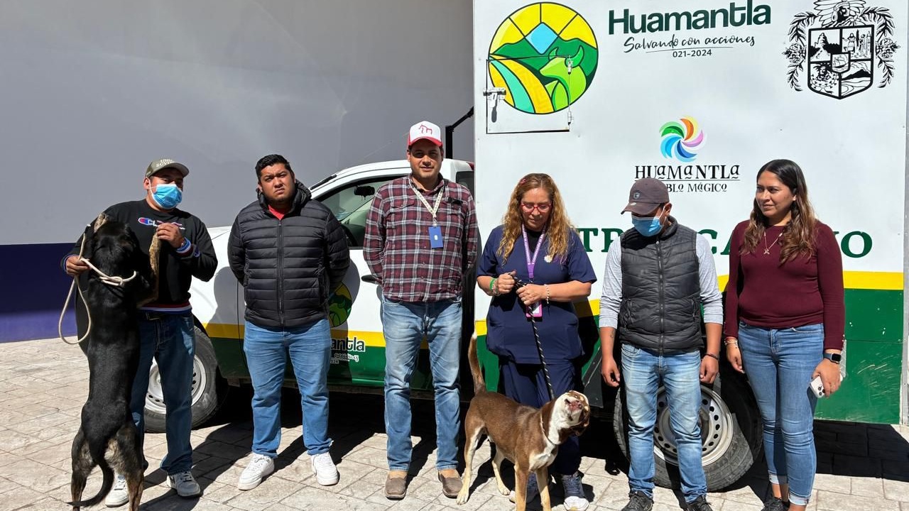 Clínica Biofílica Cumple Dos Años de Acciones en Favor de la Salud Animal en Huamantla