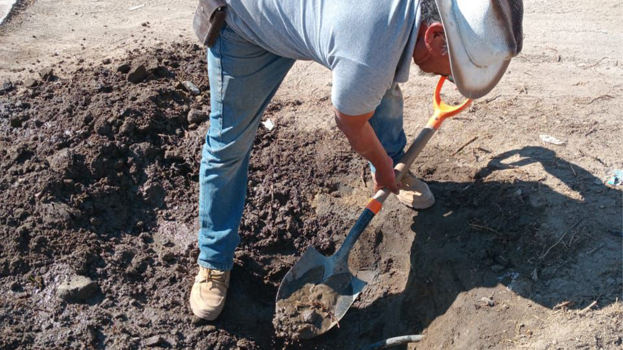 CAPAMH da seguimiento puntual a los reportes ciudadanos del día