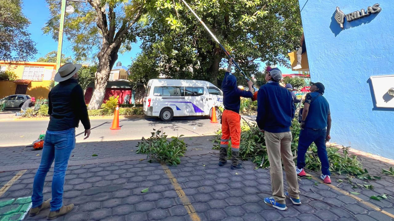 Mejora la seguridad ayuntamiento de Tlaxcala en bulevar Mariano Sánchez con trabajos de mantenimiento