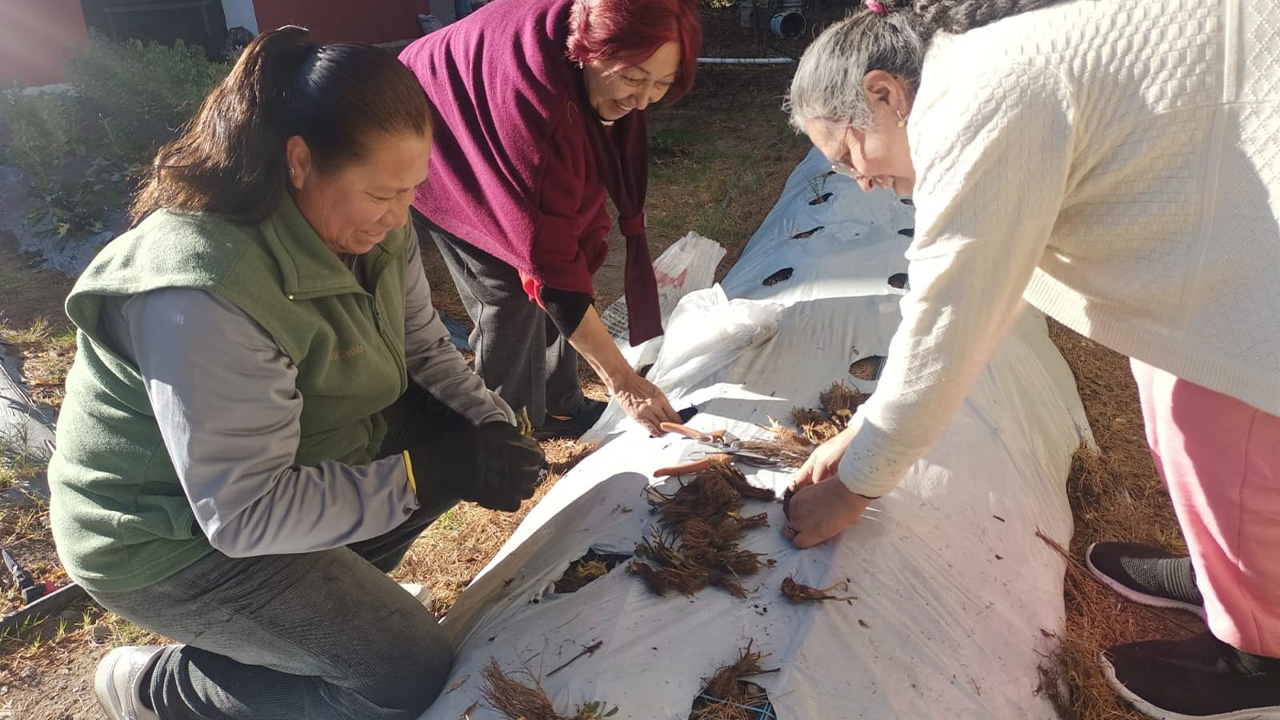 Arranca ayuntamiento de Tlaxcala capacitación para mujeres con curso de huertos familiares