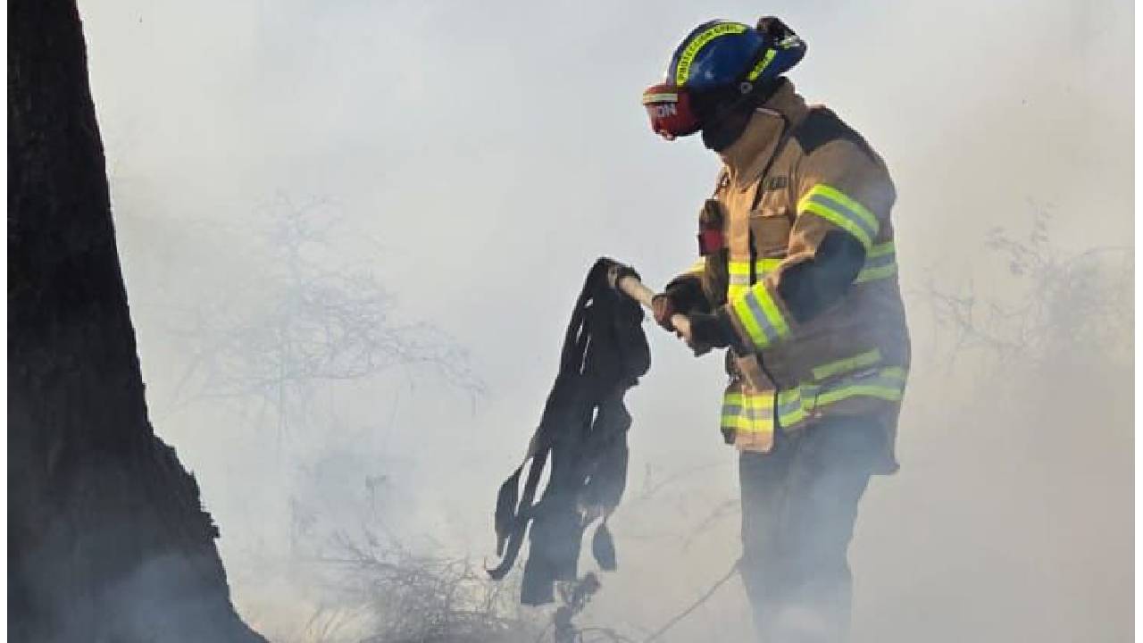 Protección Civil Municipal de Tlaxcala y Bomberos Del Estado Sofocan Incendio Detrás de la Ocotera
