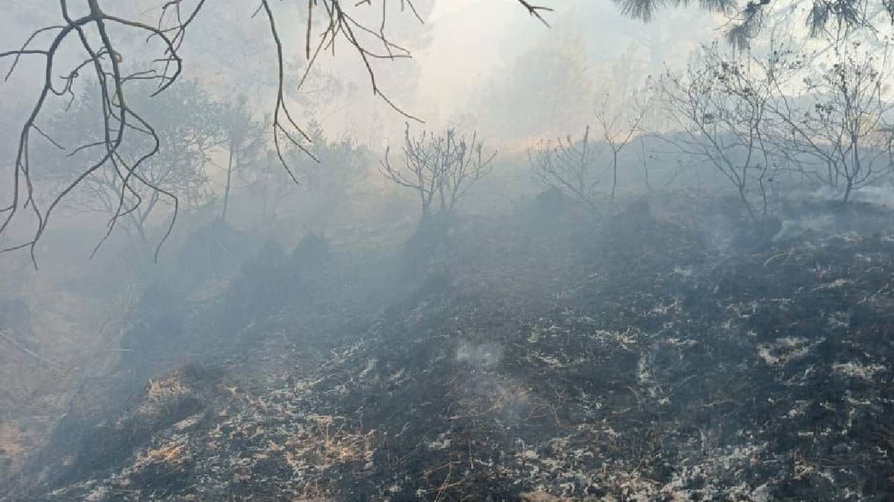 Protección Civil de Huamantla Atiende Incendio en Paraje San Bartolo