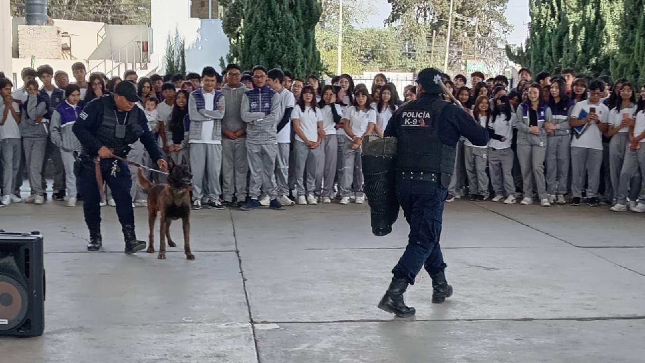 Seguridad Pública de Huamantla fortalece la proximidad social con demostración canina en COBAT 02