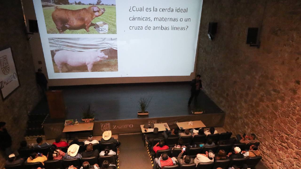 Zacatelco impulsa la capacitación del sector porcina en beneficio del campo