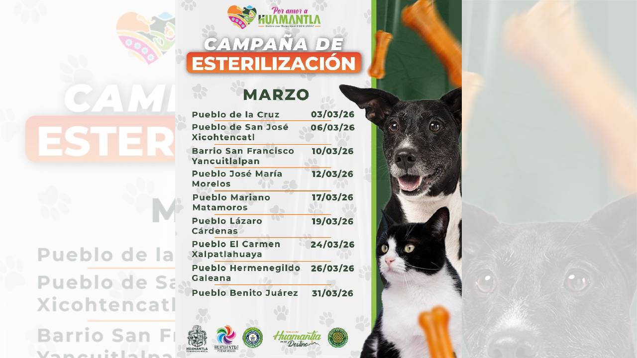 Gobierno Municipal de Huamantla Continúa Campaña de Esterilización de Perros y Gatos en Comunidades
