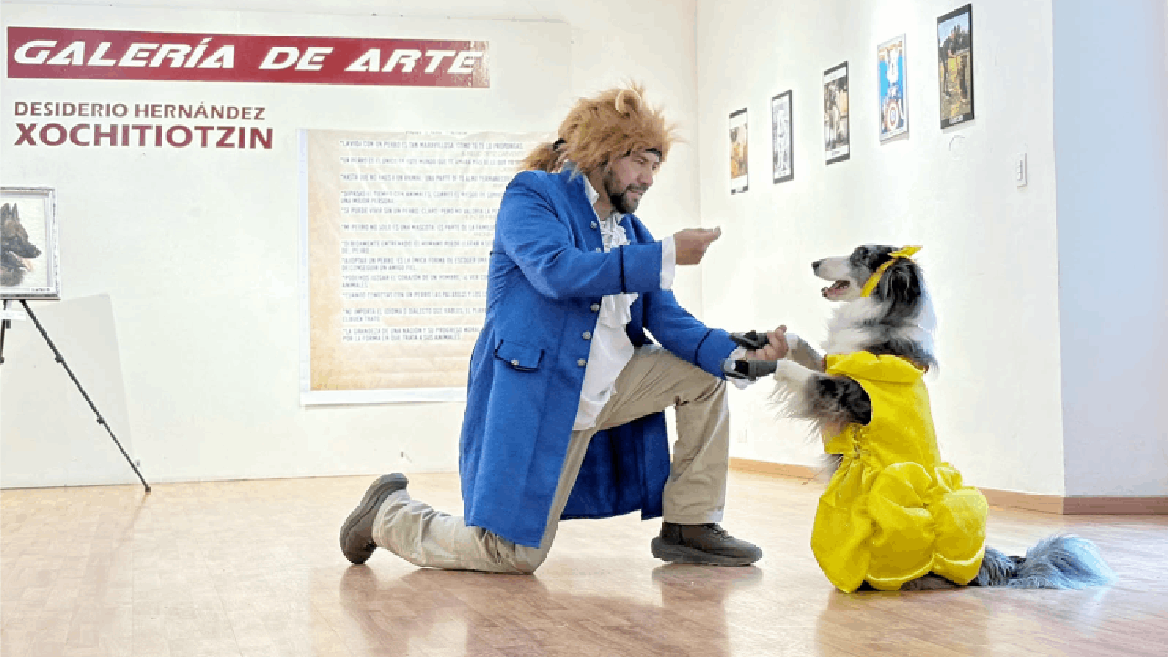 Inauguran en la galería municipal de Tlaxcala la exposición fotográfica “El arte de disfrutar un perro”