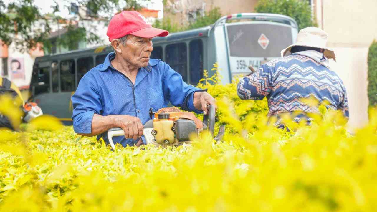 Continúa en calles del centro de la capital exitoso trabajo de “Más territorio y menos escritorio”