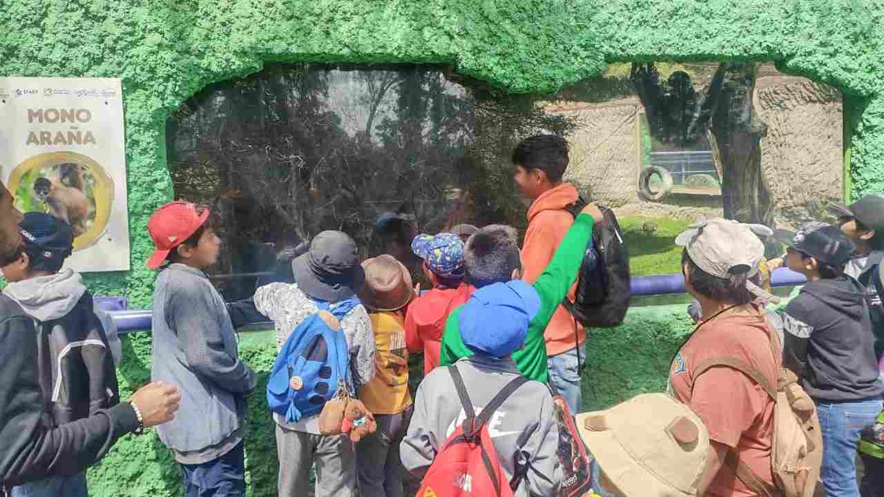 Invita Ayuntamiento de Tlaxcala a niñas, niños y adolescentes a vivir un verano lleno de deporte, aprendizaje y diversión
