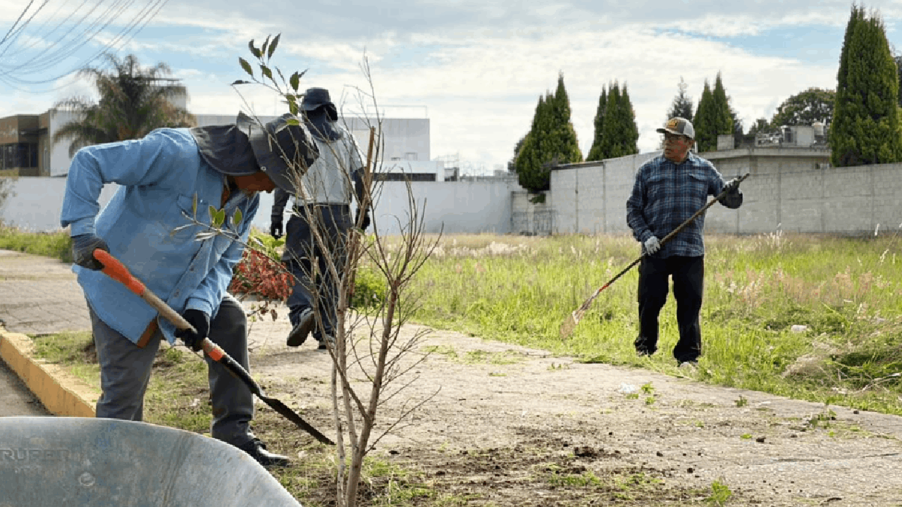 Zacatelco fortalece acciones de limpieza y reforestación en espacios públicos