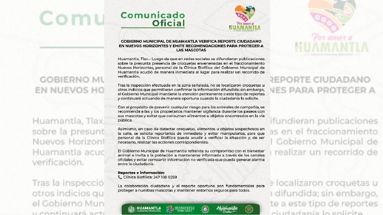 Gobierno Municipal de Huamantla verifica reporte ciudadano en nuevos horizontes y emite recomendaciones para proteger a las mascotas