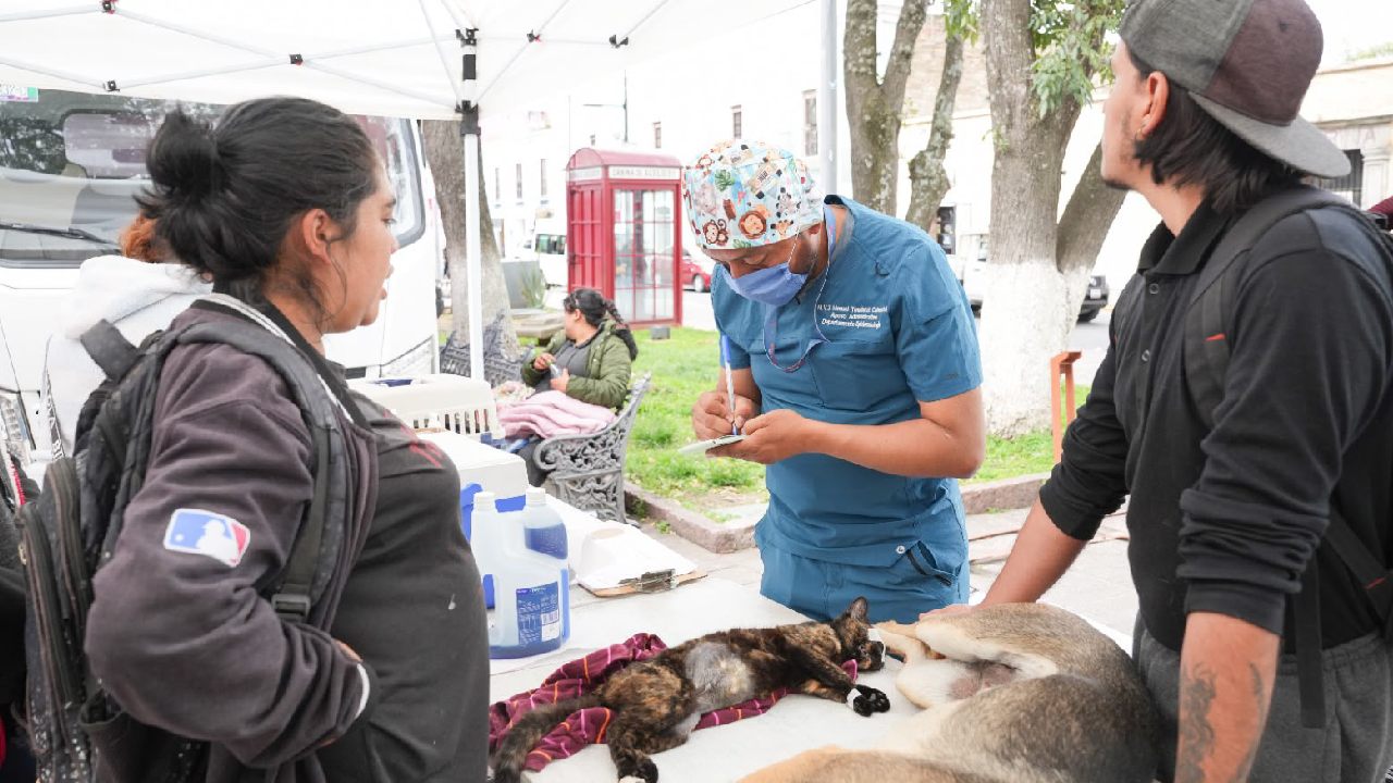 Como Parte de la Caravana de Salud, Gobierno Municipal de Tlaxcala y SESA Promueven el Bienestar Animal con Jornada de Esterilización