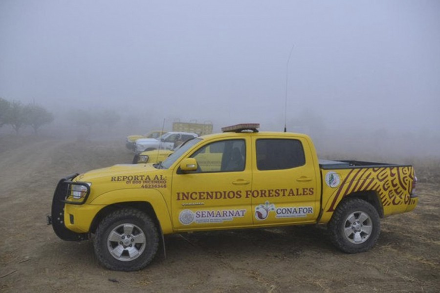 Favorece frente frío 47 combate al incendio en la Sierra de Arteaga