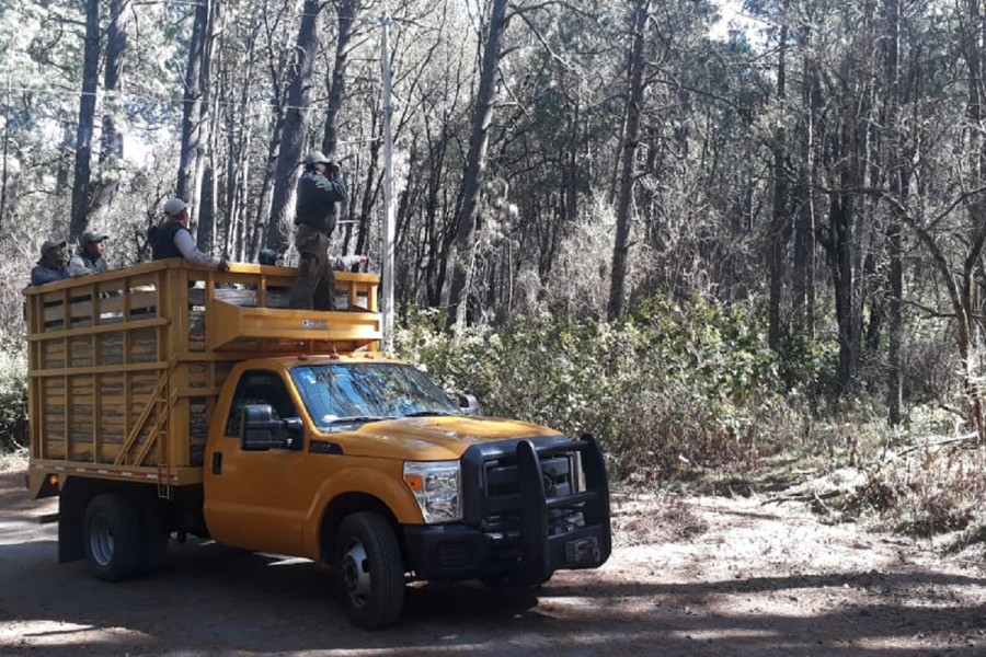 Recorren brigadas y guardabosques de la CGE la malinche para detectar incendios