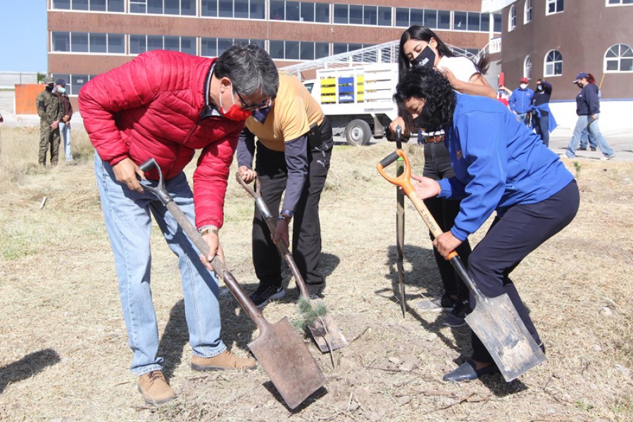 Fomenta SEFOA reforestación en instituciones educativas @GobTlaxcala