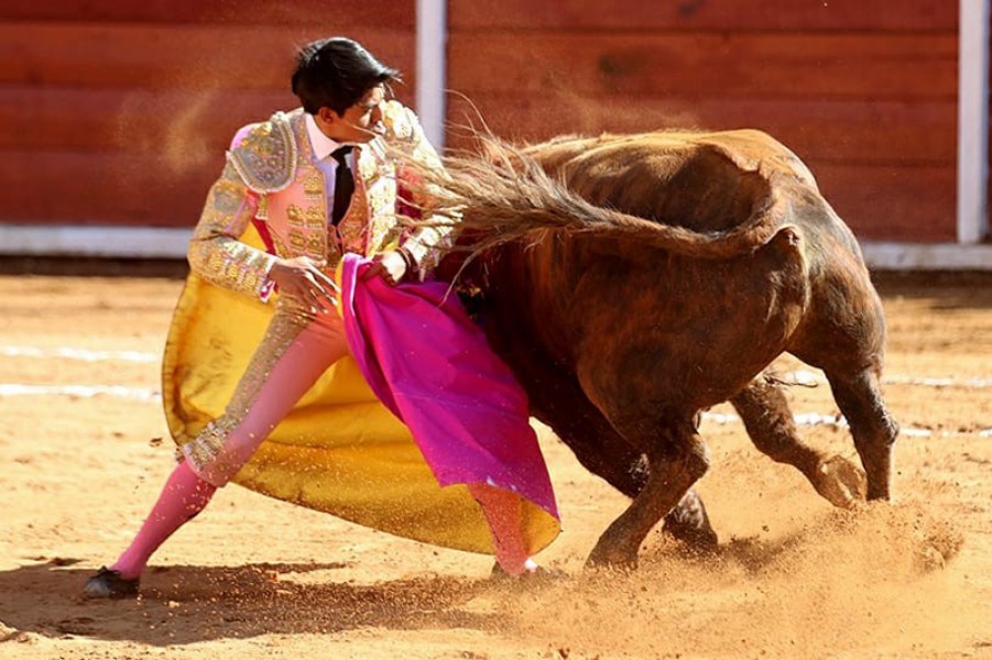 Sensacional festejo en Tlaxcala capital