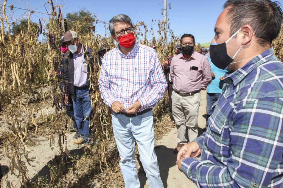 Respalda SEFOA a productores de frijol de la zona oriente del estado @GobTlaxcala