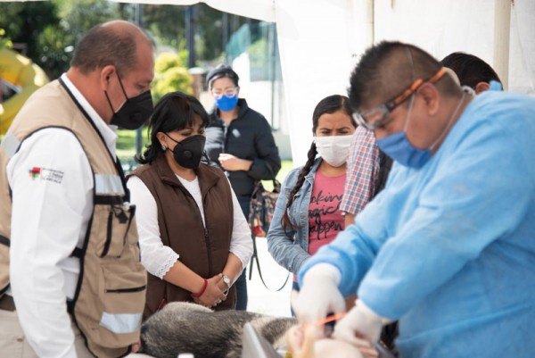 Intensifican en la capital Jornada de esterilización canina y felina #Tlaxcala