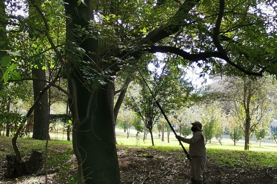 Aplica CGE programa de saneamiento en el Jardín Botánico de Tizatlán