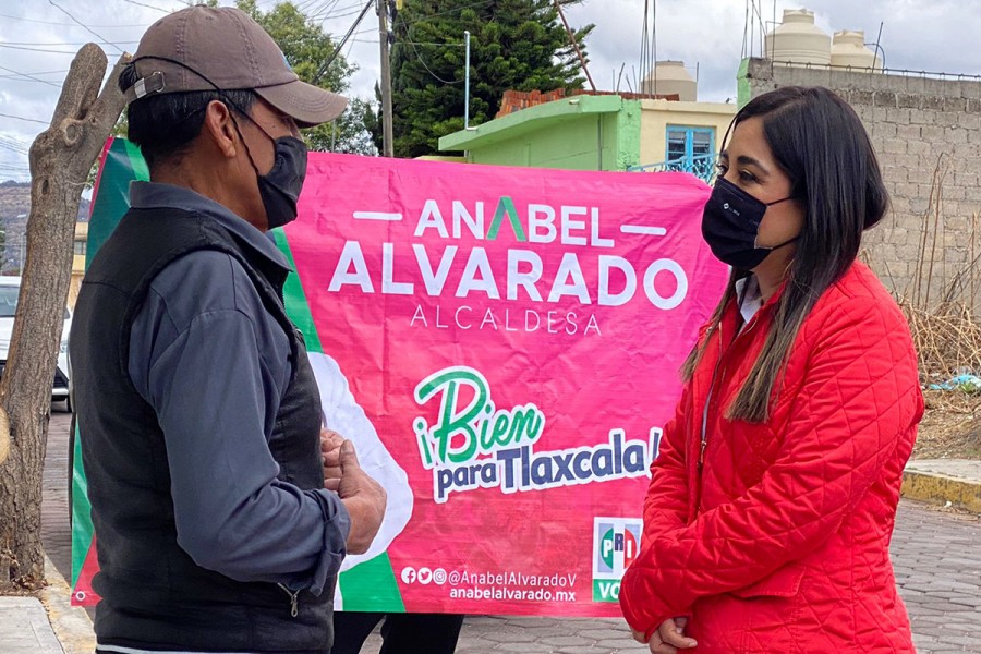 Apoyaremos a las pequeñas y medianas empresas: @AnabelAlvaradoV