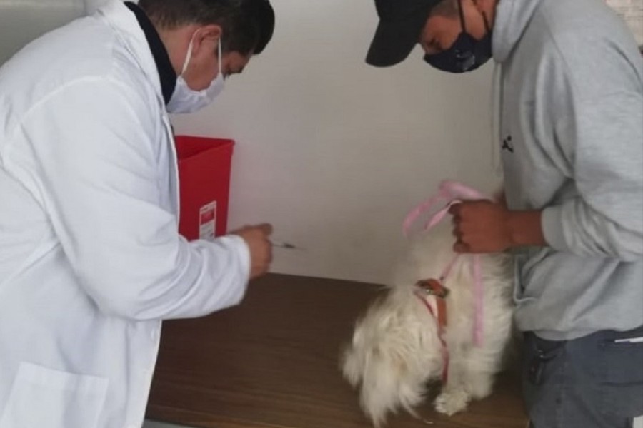 Ofrece atención integral módulo canino de SESA