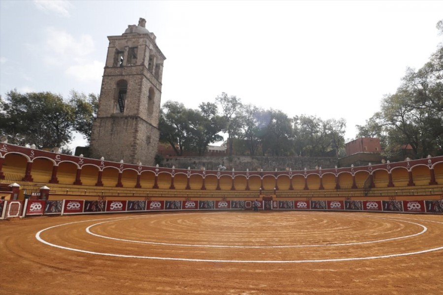 Exhorta ITDT a municipios a suspender eventos y actividades taurinas públicas