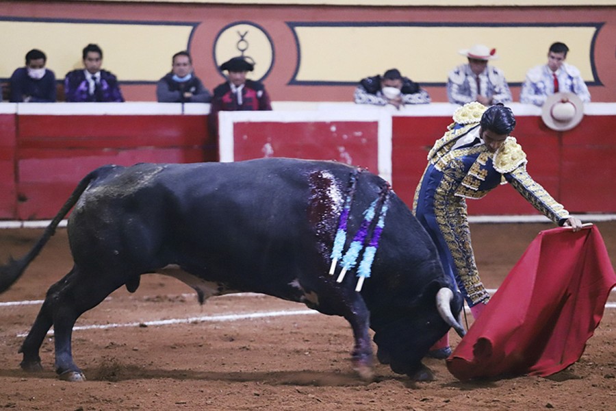 Plaza de Toros "La Taurina" Fernando de los Reyes "El Callao"