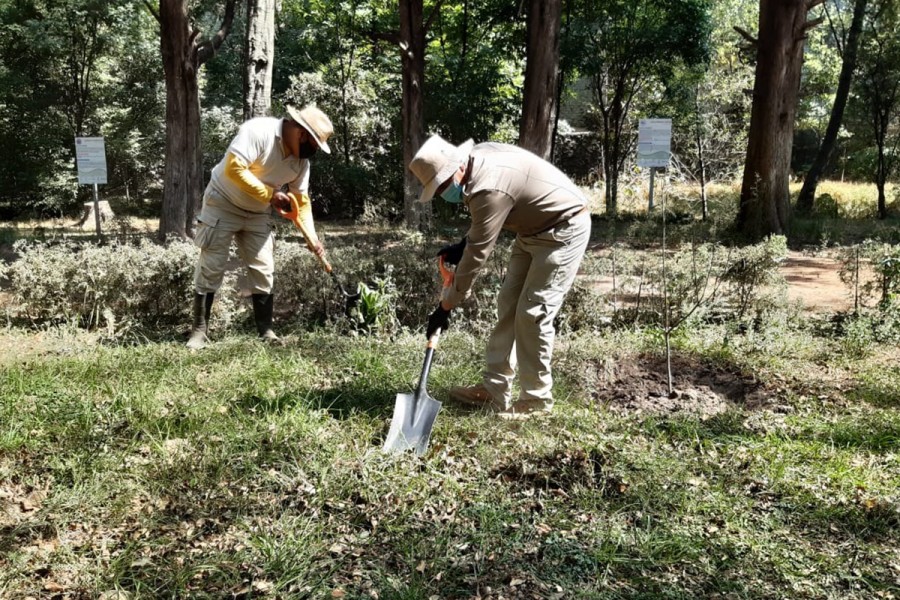 Contribuye CGE a conservar ecosistemas en el área natural protegida “La cueva”