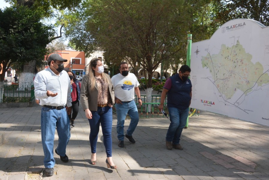 No derribará Ayuntamiento de Tlaxcala árboles del Centro Histórico