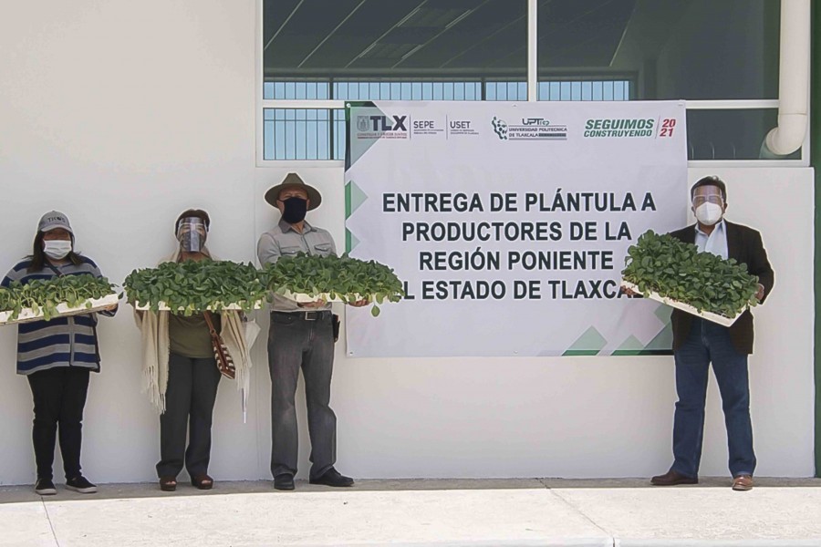 Entrega UPTREP más de 13 mil plántulas de hortaliza a ejido de Tecopilco