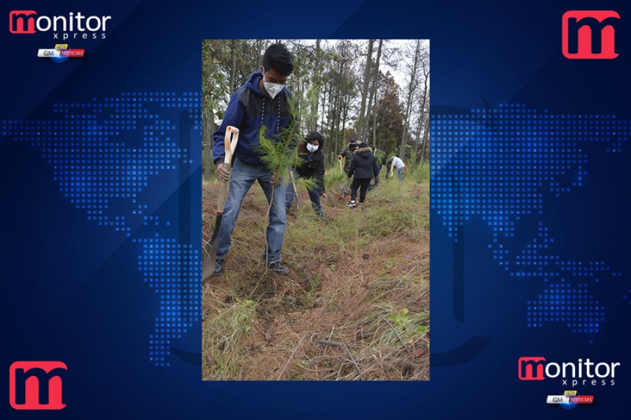 Mantiene CGE trabajos de saneamiento forestal en el Parque Nacional Malinche @GobTlaxcala