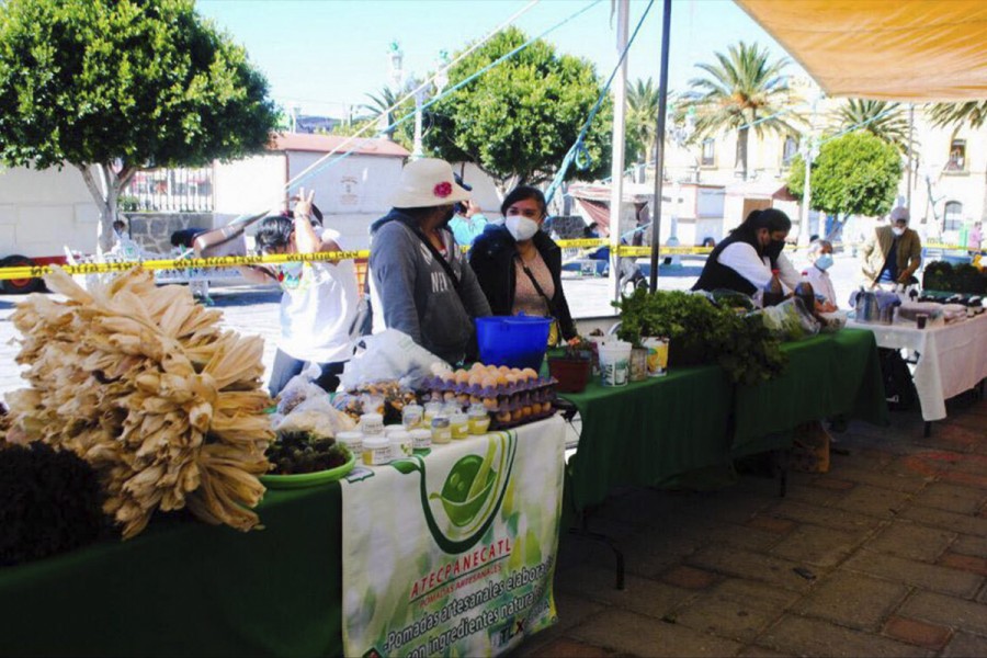 Agradecen productores de Amaxac apoyo de Gamaly Cortés