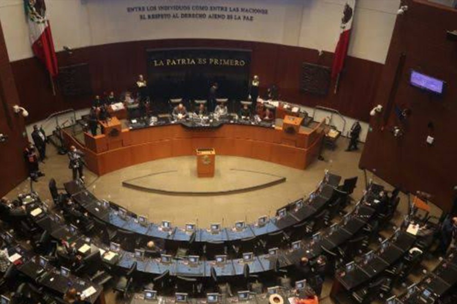 Histórica decisión en el Senado: fin a la impunidad de legisladores y funcionarios federales