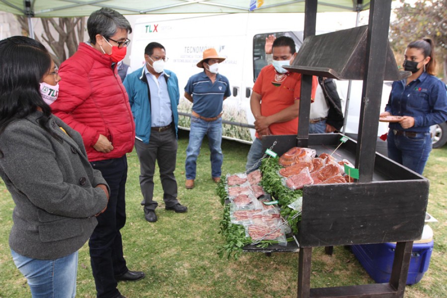 Presenta SEFOA resultados de capacitación en la cadena de ovinos @GobTlaxcala