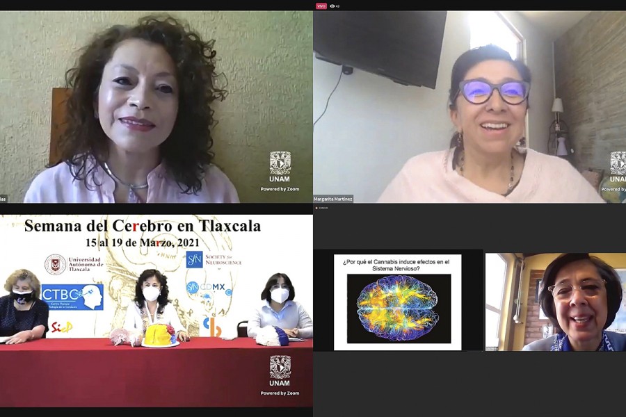 Desarrolló UATx la semana del cerebro en Tlaxcala